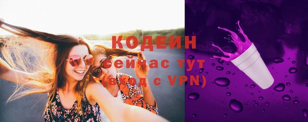 твердый Володарск