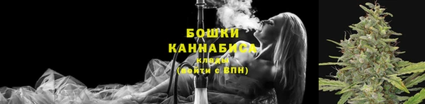твердый Володарск