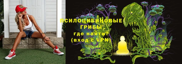твердый Володарск